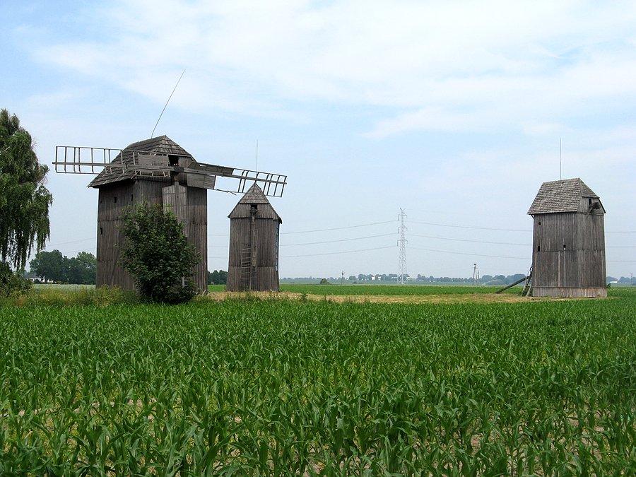 Wiatraki w Koszutach