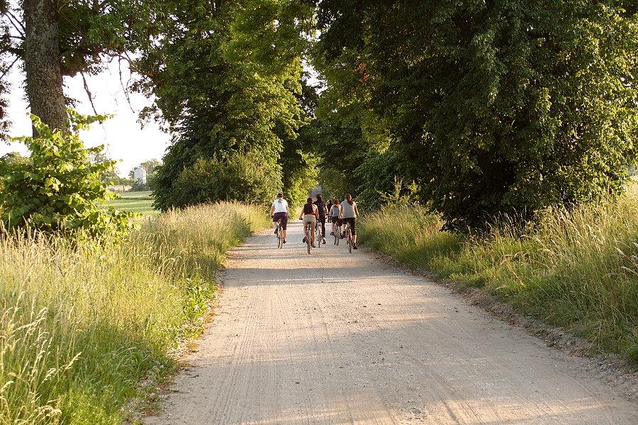 Rowerowa środa dla kobiet - polna droga w kierunku Boroszewa