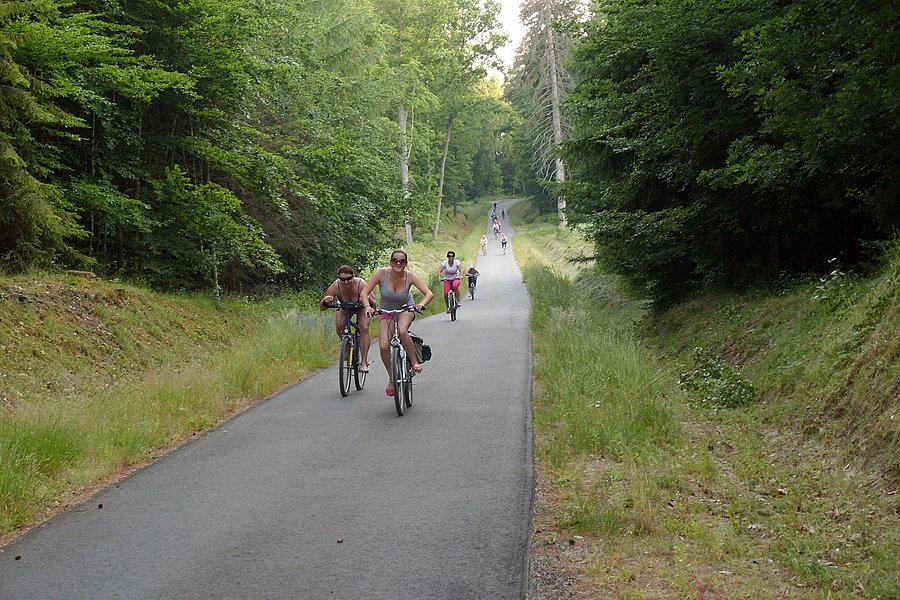 Rowerowa środa dla kobiet - ulubiona droga w lesie
