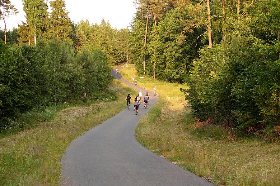 Rowerowa środa dla kobiet - ulubiona droga w lesie