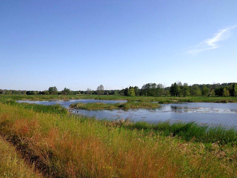 Narew płynie spokojnie