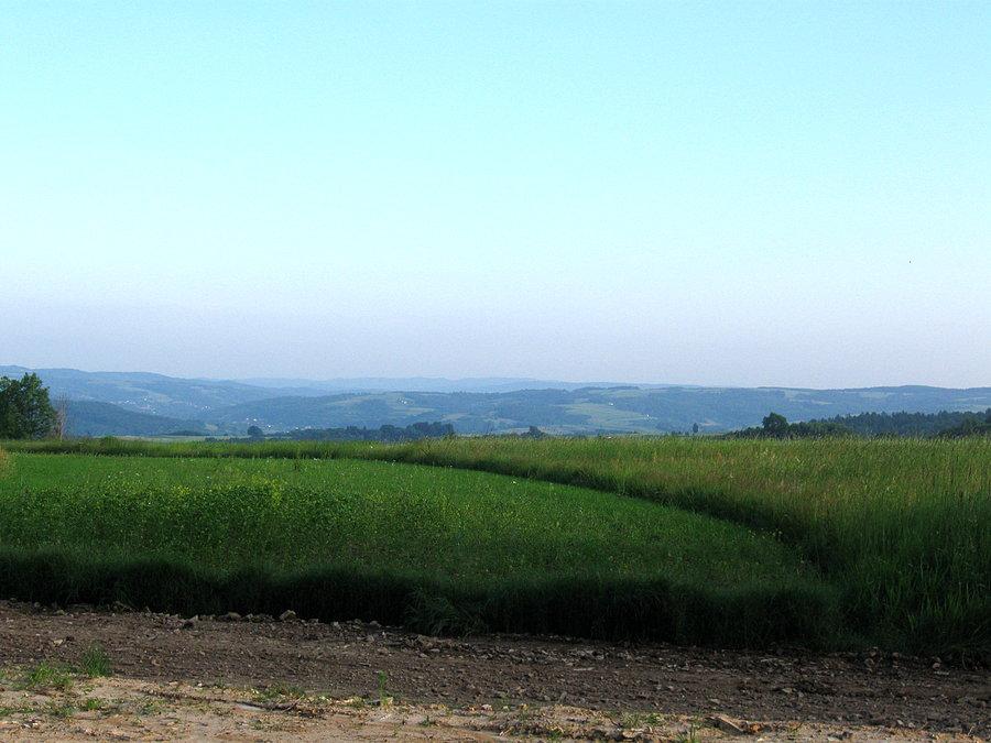 Widok z okolic Czudca