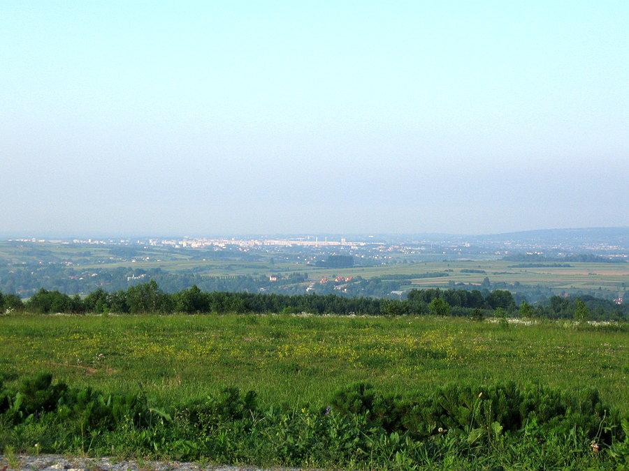Rzeszów z Niechobrza