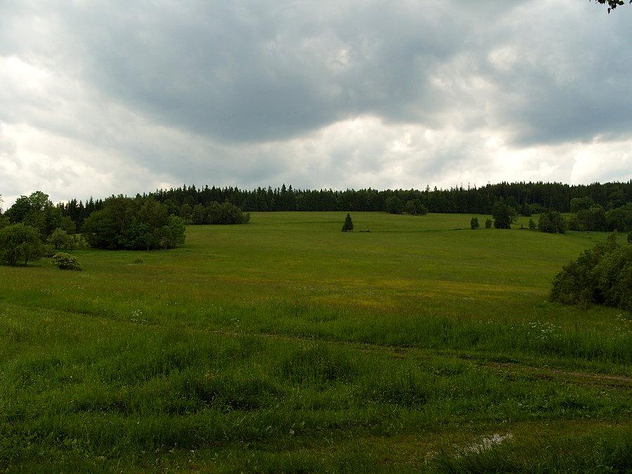 To już Polska i łąka na Przełęczy Gierałtowskiej. Do domu już tylko parę no może parę par ;) zakręceń