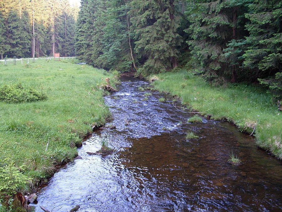 Rzeczka prócz czystej wody w niektórych zakolach ukazuje magiczne miejsca