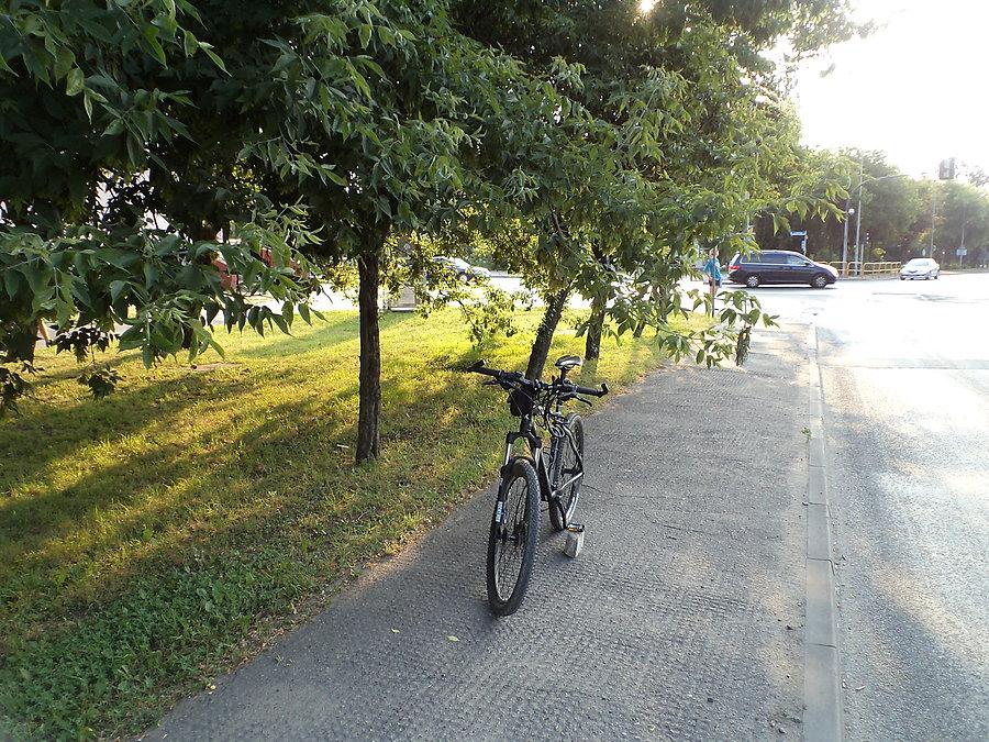 Wyborczy czesaniec rowerowy