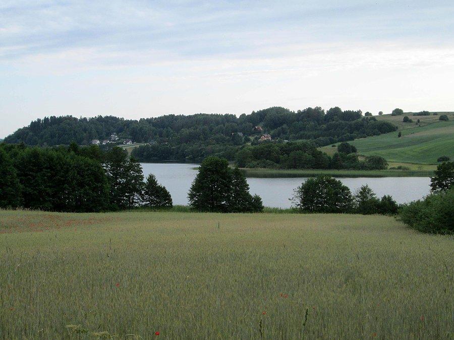 Widok na Jezioro Małe Brodno