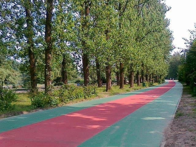 Ścieżka rowerowa w Chorzowskim Parku