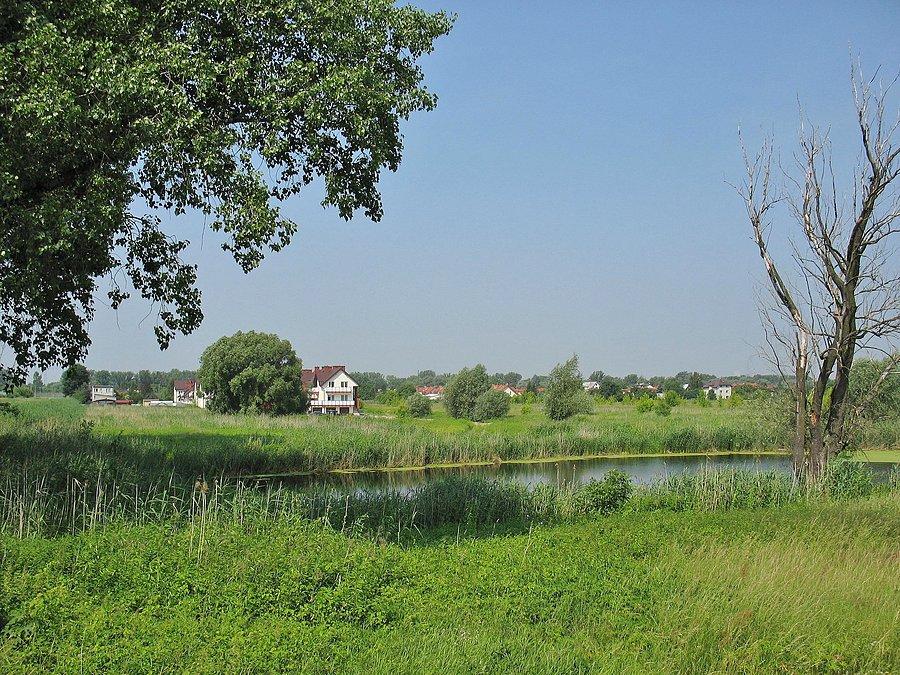 Jezioro Żabie