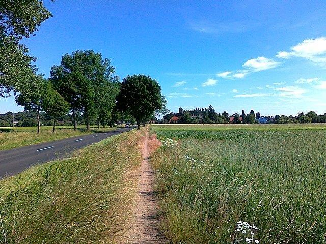 Ścieżka rowerowa do Kruszewa