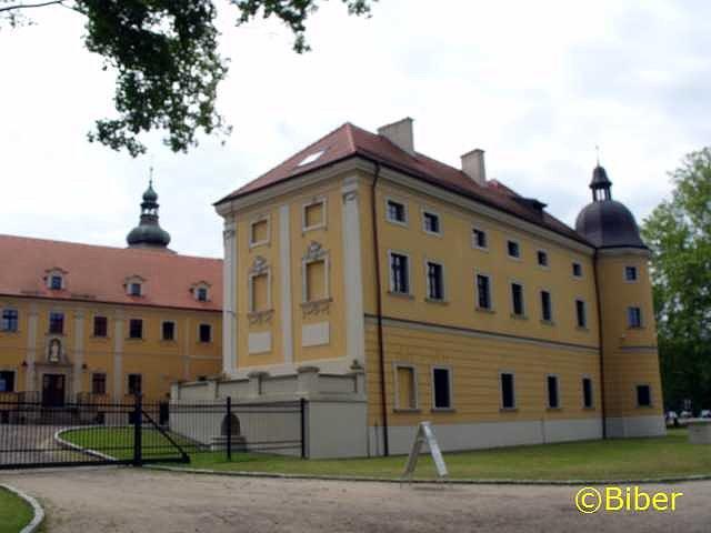 Odnowiony pałac opacki