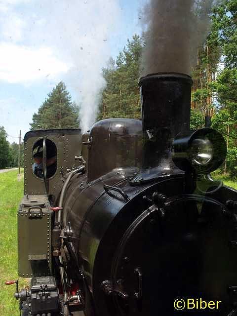 Lokomotywa "Las-49"