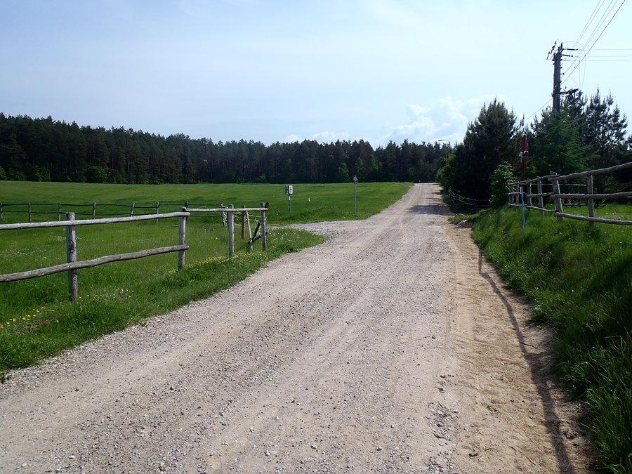 Droga z Warszkowa do lasu