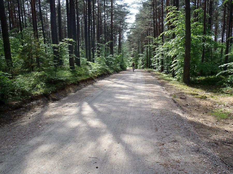 Leśna droga rowerowa