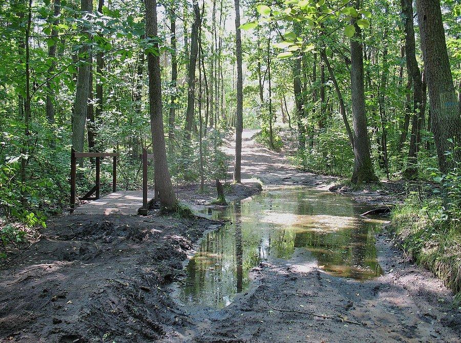Mostek nad strumieniem zasilającym Czarny Staw