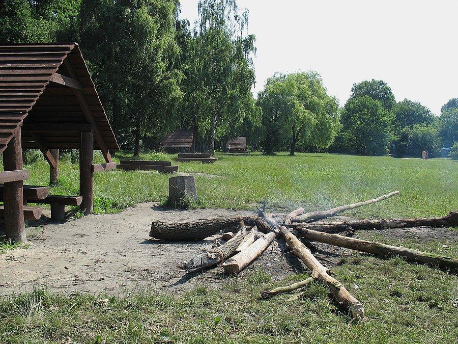 Polana turystyczna w Lesie Kabackim