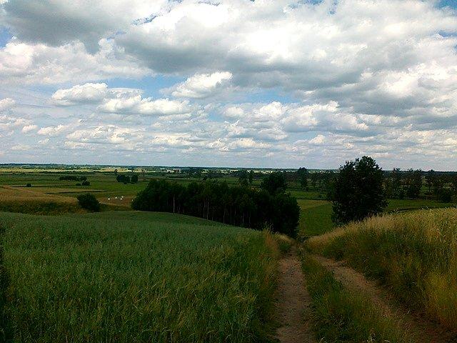 Widok ze wzgórz w Mikołajewie na Dolinę Noteci