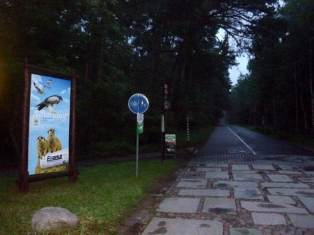 Myślęcinek o wczesnym poranku