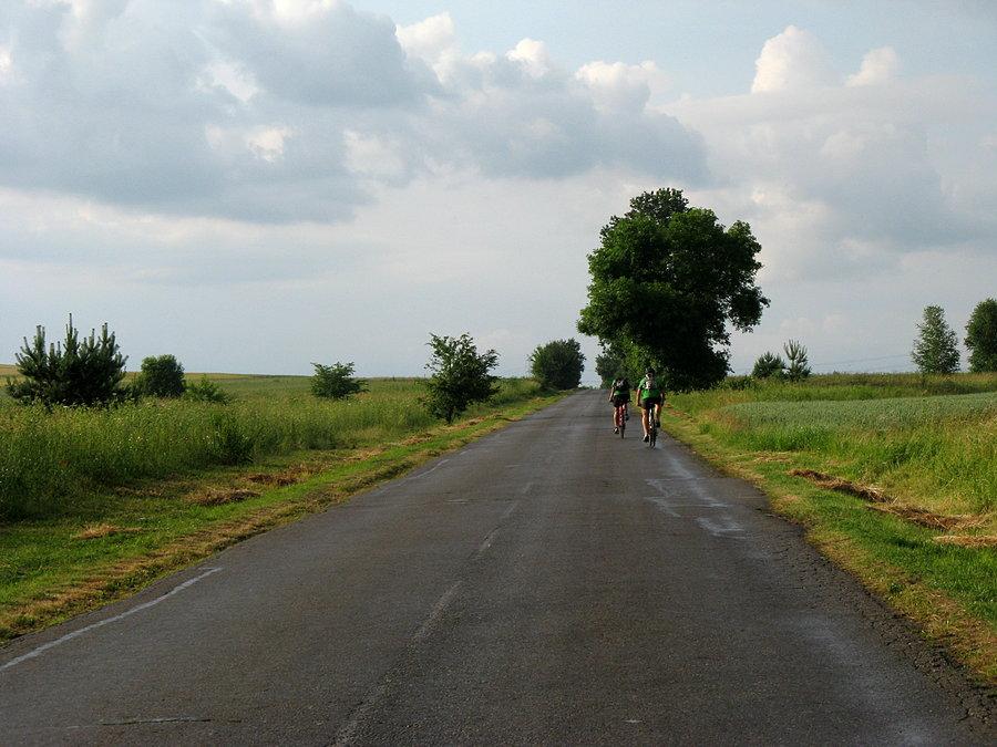 Widoczki