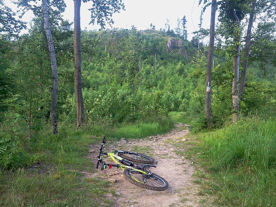 Gańczorka