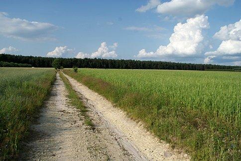 Pora się przeprawić polną ścieżką