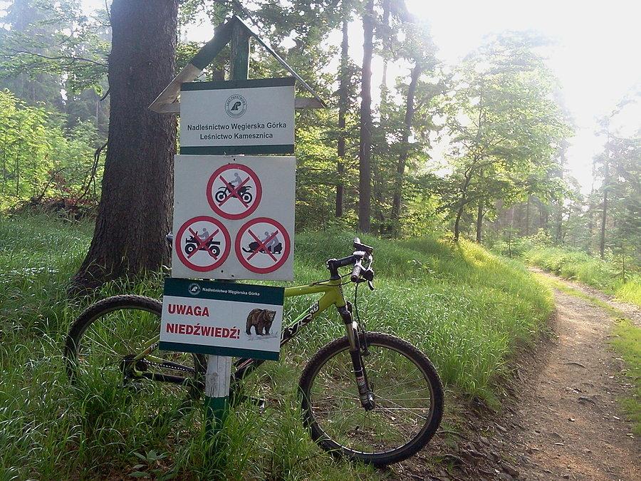 Tyniok