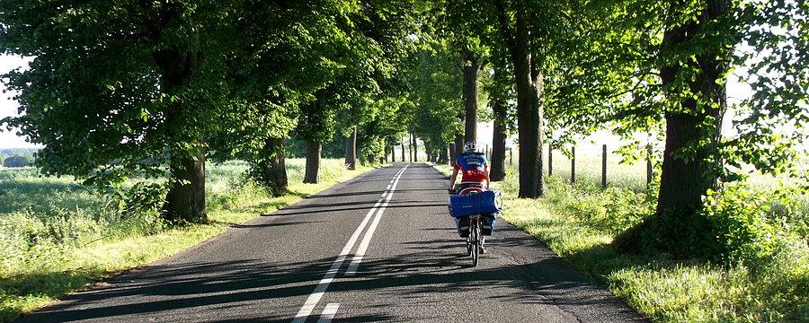 Okolice Wałcza. Klimatyczna jazda o poranku (godz.6:22)