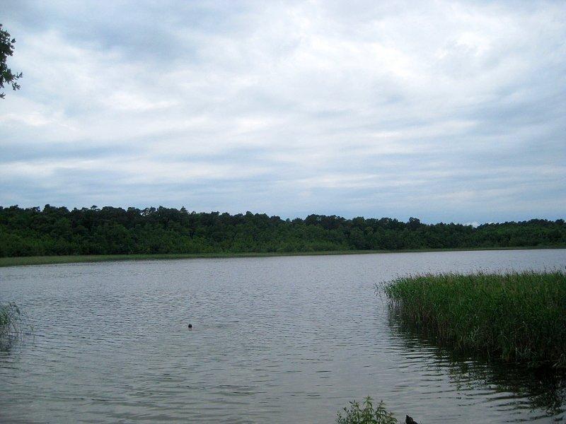 Jezioro Dębiniec w Parku Krajobrazowym Promno