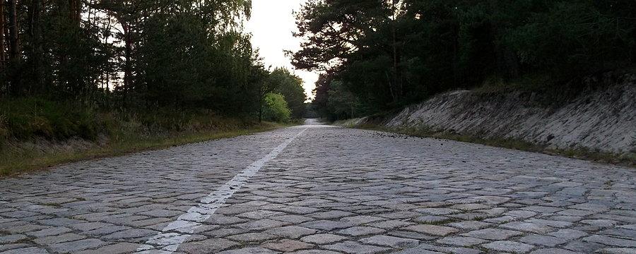 Odcinek nowej rowerówki Mrzeżyno - Pogorzelica to stara wojskowa droga
