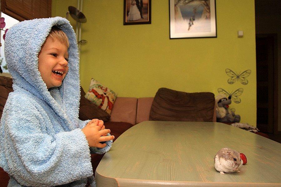 Po wycieczce rowerowej zabawa z chomikem przed samym zaśnięciem i tuż po kąpieli