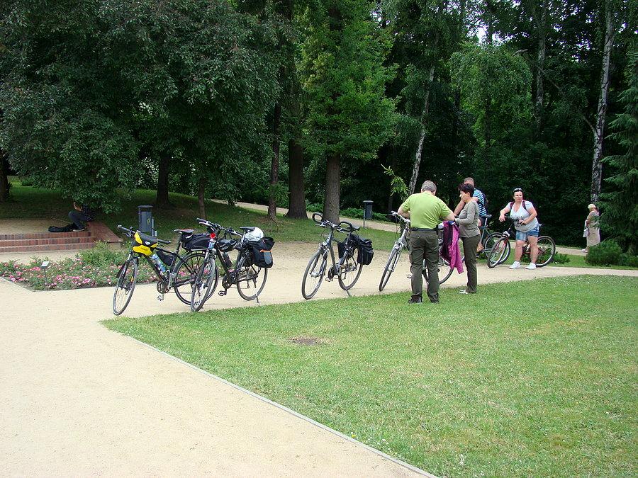 I pełno rowerzystów