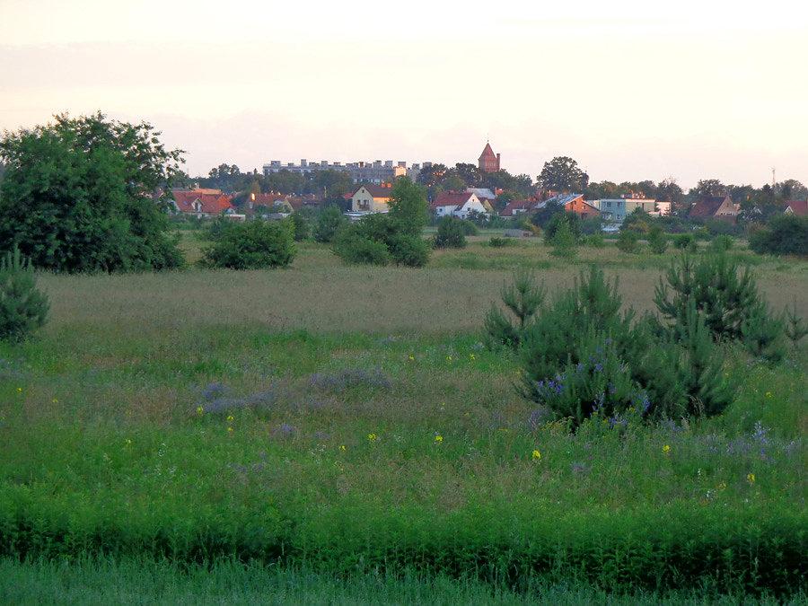 Widok na Pracze