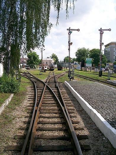 Opcji jazdy wiele. Na lewe lewo, na środkowe lewo, na wprost i w prawo na świat