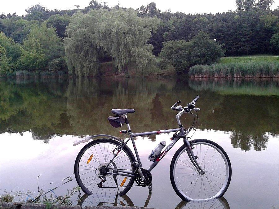 Jeziorko w Parku Szczęśliwickim