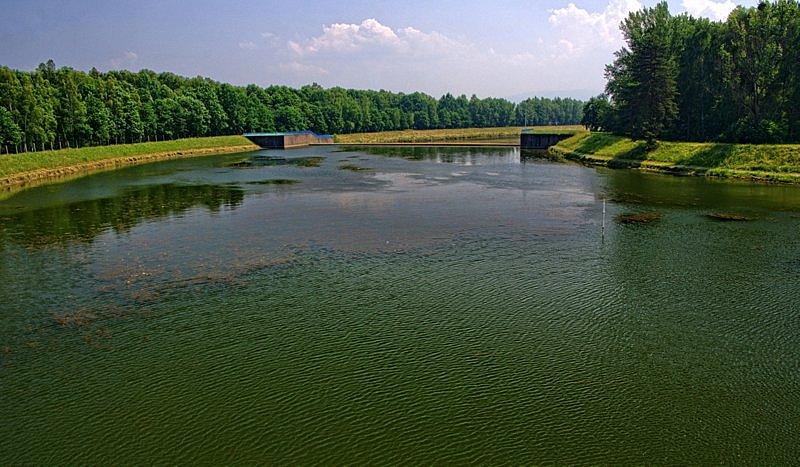 Wisła w okolicach Goczałkowic