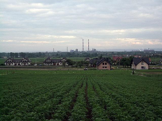 Widok na kombinat od północy