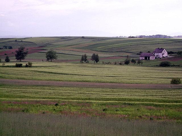 (Przepalony) widoczek z trasy