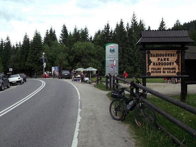 Na przeł. Lipnickiej (Krowiarki), 1010m n.p.m