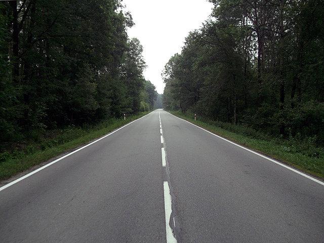 Przez Puszczę Niepołomicką