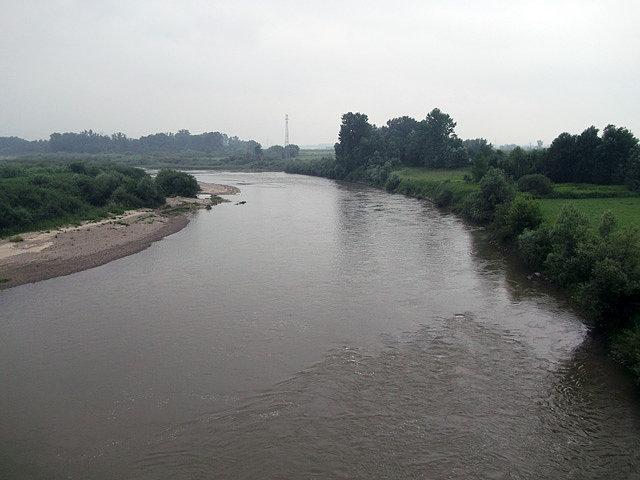 Rzeka Dunajec, niedaleko ujścia do Wisły