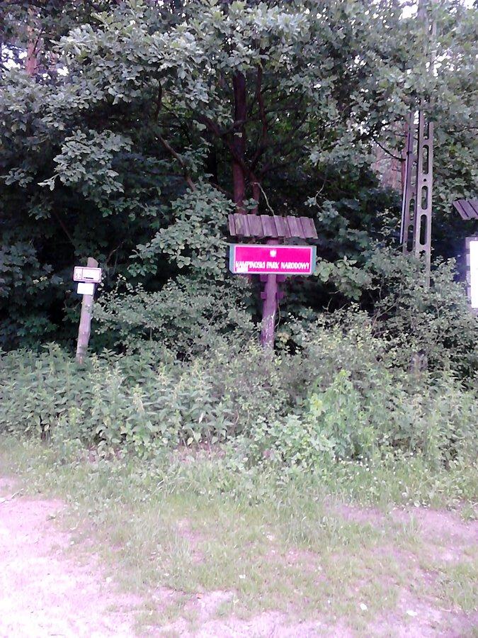 Na skraju puszczy