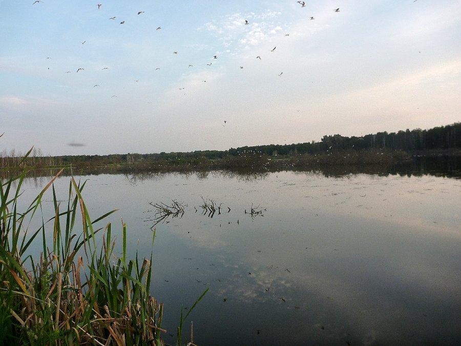 Na początek nad jezioro. Mieszkamy w prestiżowej lokalizacji, więc w pobliżu musi być woda