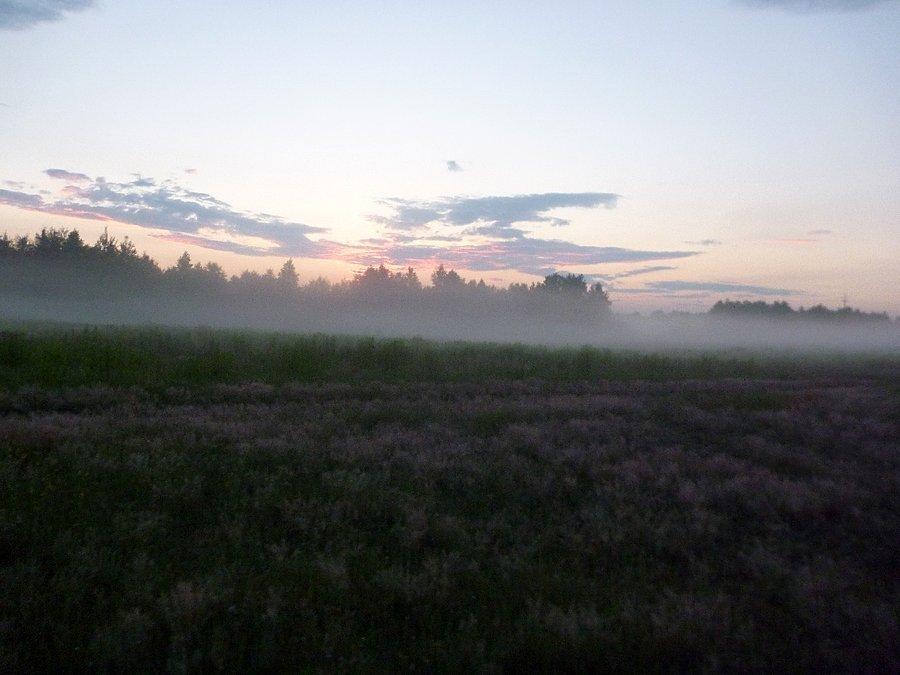 Jaki fajny sanset