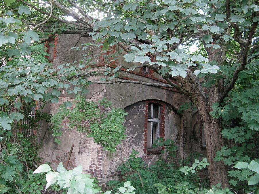 Umultowska - opuszczony budynek