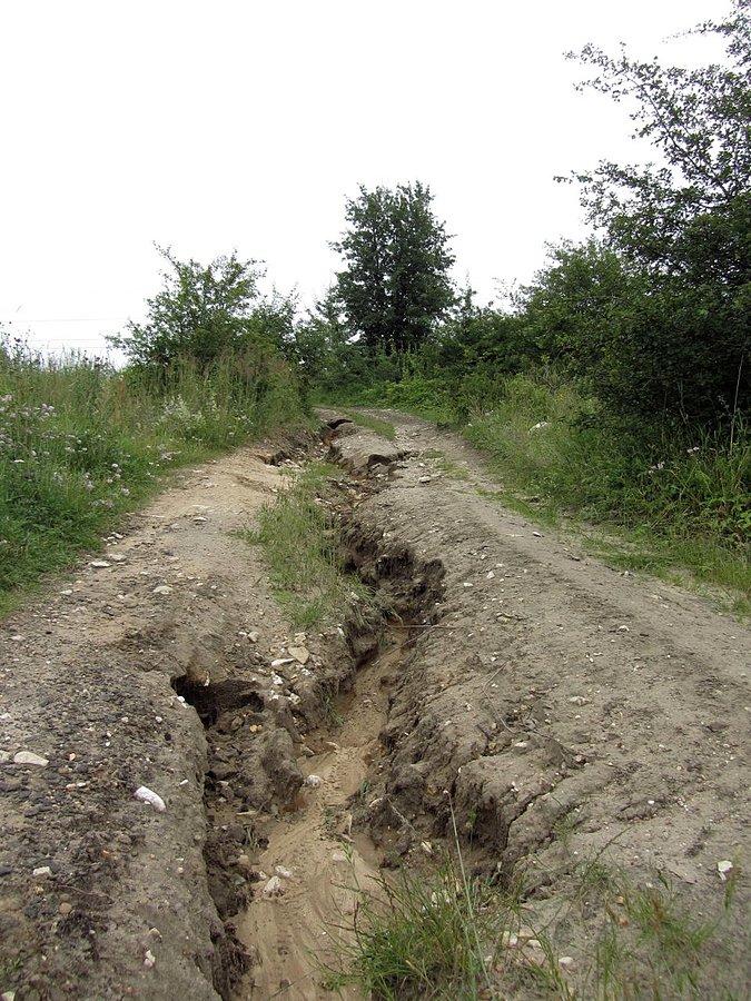 Niespodzianka przed Ossona