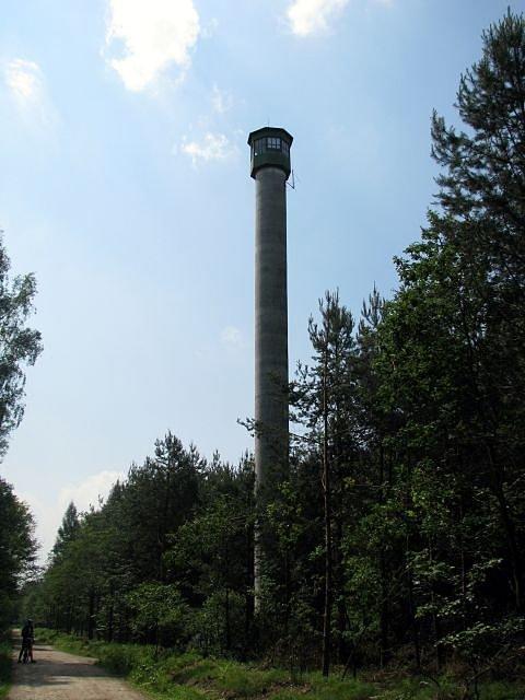 Wysoko