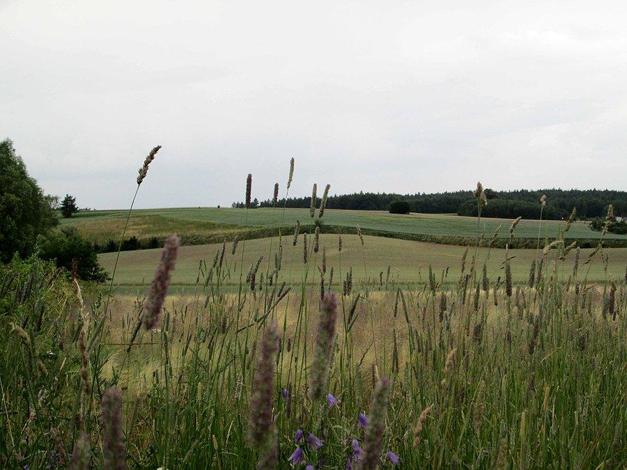 Kaszubskie pejzaże
