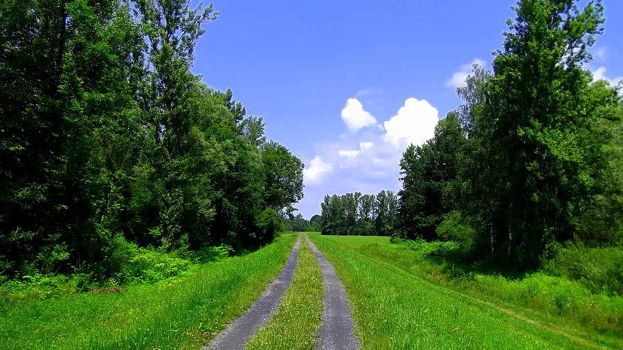 Wał nad Odrą - Antosovice