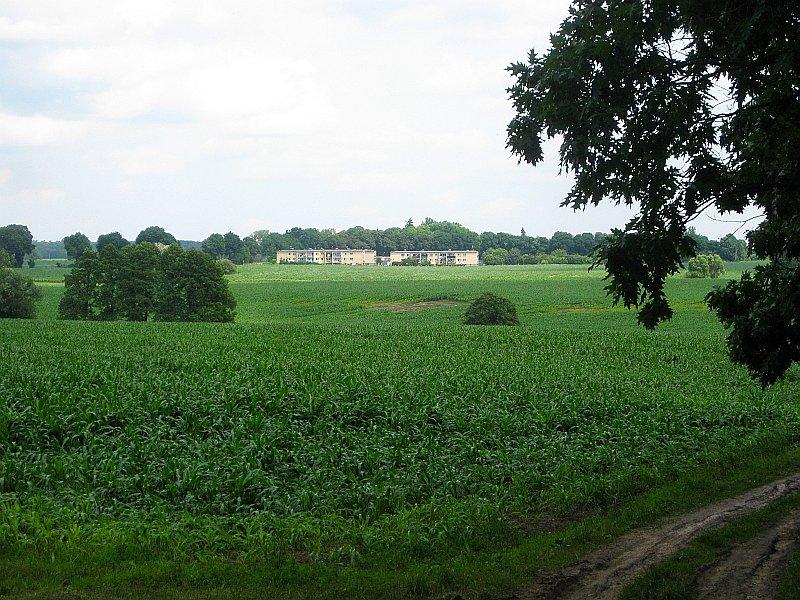 Widok na pola kukurydziane nieopodal Karłowic