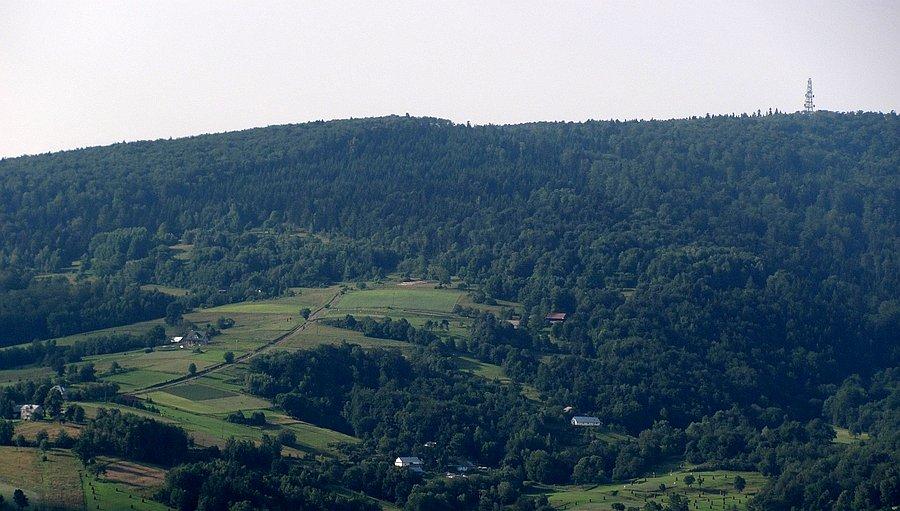 Nitka szutrowego podjazdu do szczytu Maślanej Góry